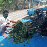 Pengepul Daun Sirih Ini Disambangi Satgas TMMD Bojonegoro