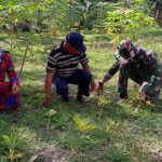 Satgas TMMD Bojonegoro Kunjungi Pembudidaya Tanaman Porang