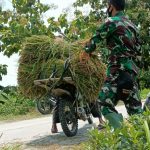 Bantu Jumadi, Ini Yang Dilakukan Anggota Satgas TMMD Bojonegoro