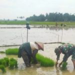 Babinsa Bantu Petani Tingkatkan Ketahanan Pangan Ditengah Pandemi Covid-19