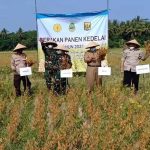 Panen Kedelai,Bupati Sukabumi: Kita Ingin Tiap Daerah Punya Komuditas Unggulan