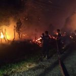 Lahan Kosong Dekat SDLB Bungo Dilahap Sijago Merah