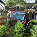 Ketahanan Pangan Kampung Tangguh RW. 02 Kelurahan Kidul dalem Patut Di Acungi Jempol