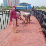 Diduga Keracunan, Ikan Mujair Tiba-tiba Ngambang di Waduk Persakih