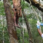Heboh !! Suami Tewas Tergantung di Pohon Karet Ditemukan Istrinya