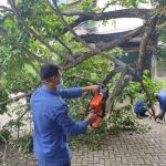 UPT Damkar Priuk Kota Tangerang Cepat Tanggap Atasi Pohon Roboh