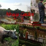 Owner Athaya Garden Brigadir Maidani Siapkan Lima Ekor Kurban Untuk Hari Raya Idul Adha 1442