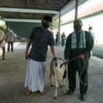 Danrem 064/MY Sembelih Kurban Sebanyak 13 Ekor Hewan Kurban, Idhul Adha 1442 H