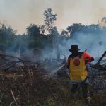 BNPB Turunkan Water Bombing Untuk Padamkan Api Dua Lokasi Sarolangun