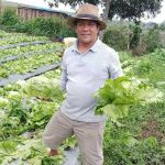 Tidak Putus Asa di Tengah Pandemi, Petani Kota Batu Mampu Ekspor Produk Pertanian ke Taiwan
