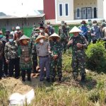 Tinjau Panen Raya Padi, Kodim 0602/Serang Tanam 20.000 Batang Bibit Pohon Mangga