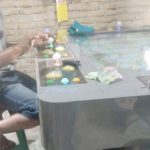 Judi Tembak Ikan Tak Tersentuh APH di Wilayah Kabupaten Batu Bara