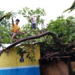Akibat Hujan di Sertai Angin Kencang Sebuah Rumah Hancur Tertimpa Pohon di Cikande