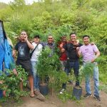 Polres Kerinci Temukan Ladang Ganja 1 Hektar
