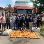 45 Kg Ganja dan 1 Kurir Diamankan BNN Jambi Diterminal  Bus Tipe A SKB Muara Bungo