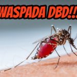 Corona Mereda Muncul DBD, Masyarakat Sukoharjo Diminta Waspada