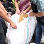 Ratusan Kilo Ganja Jaringan Antar Pulau Diamankan Satreskrim Polres Jakbar