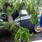 Dua Mobil Ringsek Tertimpa Pohon di Jalan Dimyati Kota Tangerang
