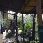 Sebuah PAUD di Kota Tangerang Hancur Tertimpa Pohon