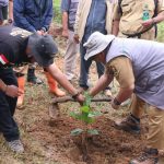 Peringati Hari Hutan dan Air Sedunia,Bupati Sukabumi Tanam Kopi di Puncak Buluh