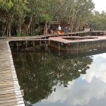 Wisata Selusur Sungai Kaboeng,Menjadi Destinasi Masyarakat Mesuji