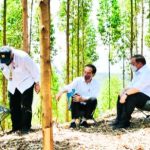 Presiden Bermalam di Tenda Area Perkemahan Sekitar di IKN