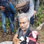 Sebelumnya Masuk Dalam Jerat, Seekor Harimau Sumatera Serang Dr Hewan BKSDA Sumut Hingga Alami Luka Robek