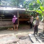 Bhabinkamtibmas Air Hitam Himbau Peternak Waspada Dengan Penyakit Mulut