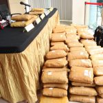 Ratusan Kilo Ganja Kering dan Satu Kurir Jaringan Sumatra – Jawa Diamankan Satnarkoba Jakbar