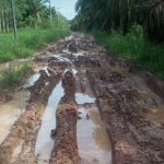 Jalan Penghubung Antar Kampung di Kecamatan Gedung Aji Baru Seperti Kubangan Kerbau, Pemerintah Tutup Mata
