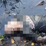 Heboh” Warga Temukan Mayat Tanpa Identitas di Neglasari