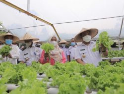 28 Kelompok Wanita Tani di Kota Tangerang Panen Raya