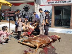 DPD Bapera Kota Tangerang Bagikan Daging Qurban