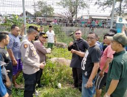 Kerbau Kurban Ngamuk Rusak Kendaran dan Lukai 2 Warga di Tangerang, Akhirnya Ditembak Polisi