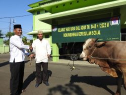 Hari Raya Idul Adha, Kodim 0510/Trs Bagikan Daging Sapi Dan Kambing Pada Warga