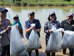 TNI AL Tanam Mangrove dan Tebar Benih Ikan di Ciwaru Diapresiasi Wabup