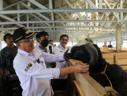 Wabub Sukabumi : Optimalisasi Sektor Pertanian Dukung Produktivitas Dan Daya Saing Ekonomi