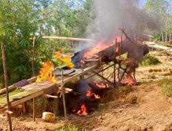 Penertiban PETI di Jernih, Polsek Air Hitam Bakar Peralatan Dompeng di Lokasi