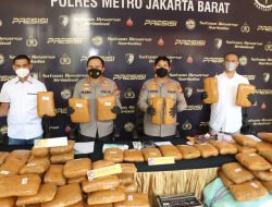 Ratusan Kilo Ganja Jaringan Sumatra Serta Dia Kurir Diringkus Satresnarkoba Jakarta Barat