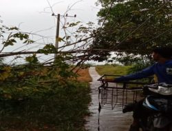 Cuaca Ekstrim Hujan Disertai Petir, PLN Siaga 1
