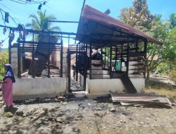 Sijago Merah Mengamuk, Seorang Wanita Lansia Tewas Terjebak Dalam Rumah
