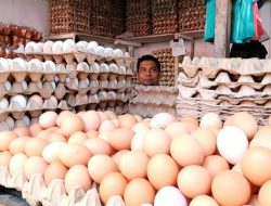 Isu Rencana Kenaikan Harga BBM, Harga Telur dan Cabai Merah Keriting di Padangsidimpuan Meroket