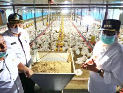 Pj Bupati Aceh Utara Puji Integrated Farming di Seumirah dan Blang Rheu
