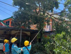Pangkas Pohon, PLN Rimbo Bujang Upayakan Pemeliharaan Kabel Listrik