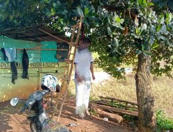 Anggota PUK FSPMI PT. Swarna Baja Pasific Ditemukan Tewas Tergantung di Pohon Nangka