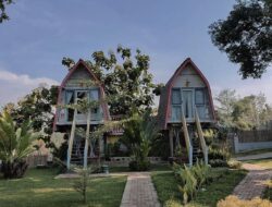 Pencinta Traveling, Anda Wajib Kunjungi Rimba Desa Resort di Jepara Menawarkan Nuansa Alam Yang Sejuk