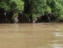 Seorang Warga Padangsidimpuan Terseret Arus Sungai, BPBD: Masih Dalam Pencarian