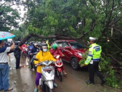 Akibat Pohon Tumbang, Lalulintas Sempat Tersendat di Ring Road Cengkareng
