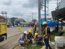 Pembangunan Penyulang Baru, Komitmen PLN Untuk Meningkatkan Kehandalan Listrik Di Wilayah Rimbo Bujang dan sekitarnya