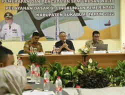 Wabub Sukabumi Paparkan Prinsip Standar Pelayanan Minimal